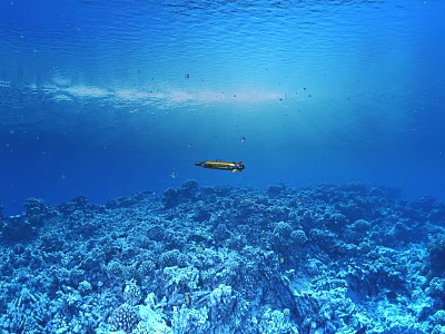 Blue Underwater Ocean Floor With Vibrant Coral Reef And Swimming Fish 3d model