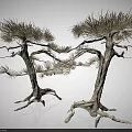 Artistic Tree Shaped Decorative Ornament Set With White Trunks And Golden Foliage