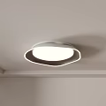 Modern White Ceiling Lights With Irregular Edge Design Illuminated Ceiling Mounted 3d model