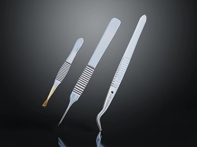Stainless Steel Tweezers With Various Tip Shapes As Precision Tools For Professionals 3d model
