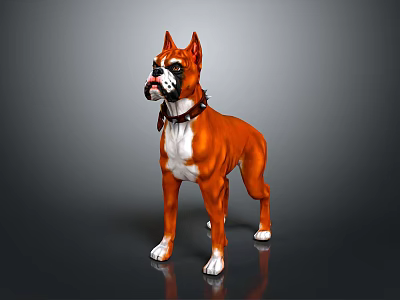 Brown And White Boxer Dog With Collar In Standing Pose 3d model