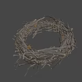 Natural Bird Nest Composed of Dry Twigs and Branches with Intricate Structure