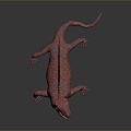 Lizard Anime Lizard Cartoon Lizard Reptile Cold Blooded Animal Reptile Reptile 3d model