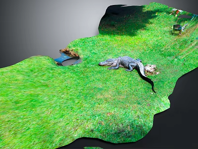 Crocodile Resting On Green Grassland Near Small Water Puddle In Natural Habitat 3d model