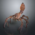 Scary Hairy Spider Like Monster Creature With Multiple Legs And Orange Back Spots