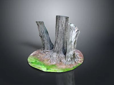 Detailed Wooden Tree Stumps On Green Grass Base With Natural Texture 3d model