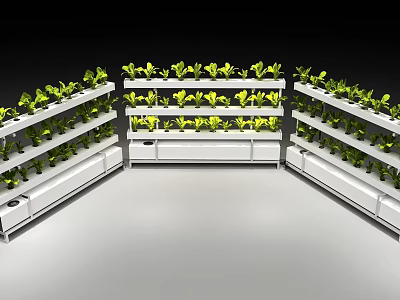 Indoor Vertical Farming Equipment With Multiple Shelves For Green Leafy Plants 3d model