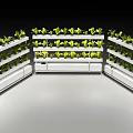 Indoor Vertical Farming Equipment With Multiple Shelves For Green Leafy Plants