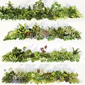 Various Green Plants And Flowers In Natural Decorative Arrangements For Garden