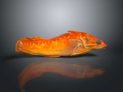 Orange Spotted Fish Lying On Black Surface With Clear Reflection 3d model
