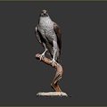 Modern Eagle Carving 3d model