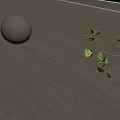 Natural Wooden Floor With Green Leaf Branch And Round Wooden Sphere