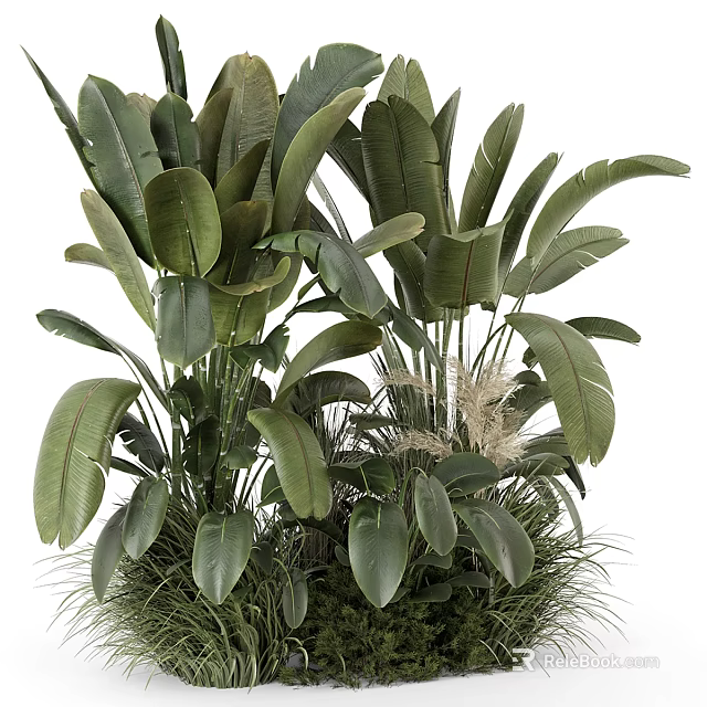 Lush Tropical Plants With Large Green Leaves And Fresh Foliage Arrangement 3d model 