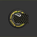 Cheetah Curling Stone Winter Sports Equipment With Yellow Stripe Carbon Fiber Top