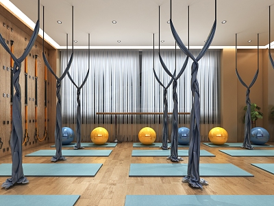 Modern Yoga Room Yoga Room Gym model