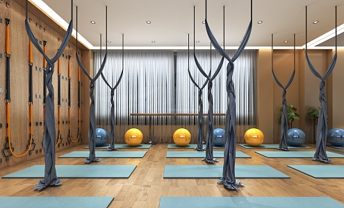 Modern Yoga Room Yoga Room Gym 3d model