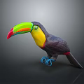 Colorful Toucan Bird With Vibrant Green Yellow Red Beak Black Body And Blue Claws