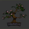 Decorative Bonsai Plant With Green Leaves And Pink Flowers In Square Pot