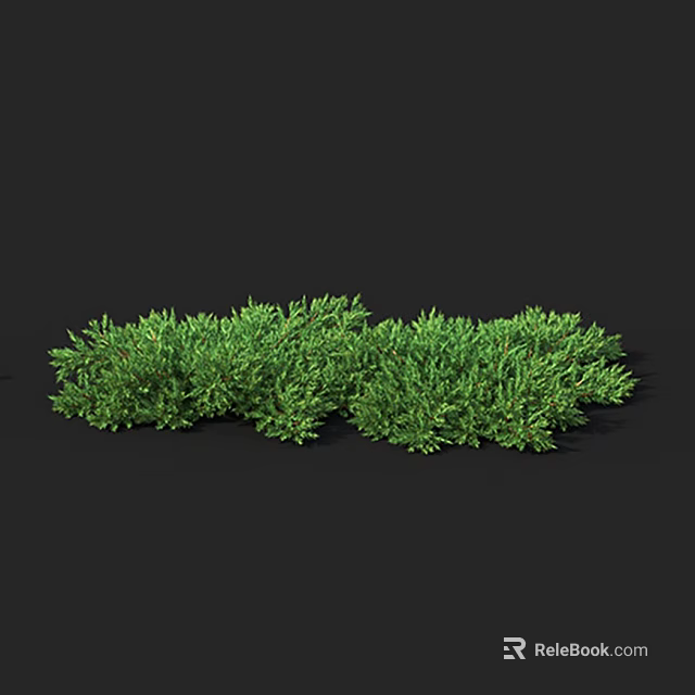 Green Shrubs With Lush Foliage Dense Growth And Vibrant Garden Charm 3d model 
