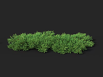 Green Shrubs With Lush Foliage Dense Growth And Vibrant Garden Charm 3d model