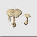 Two White Mushroom Plants with Damaged Cap Edges Against Black Background