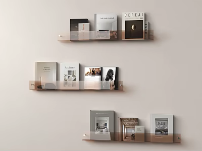 Modern Wall Rack Acrylic Bookshelf Acrylic Magazine Rack Tea Glass Bookshelf 3d model