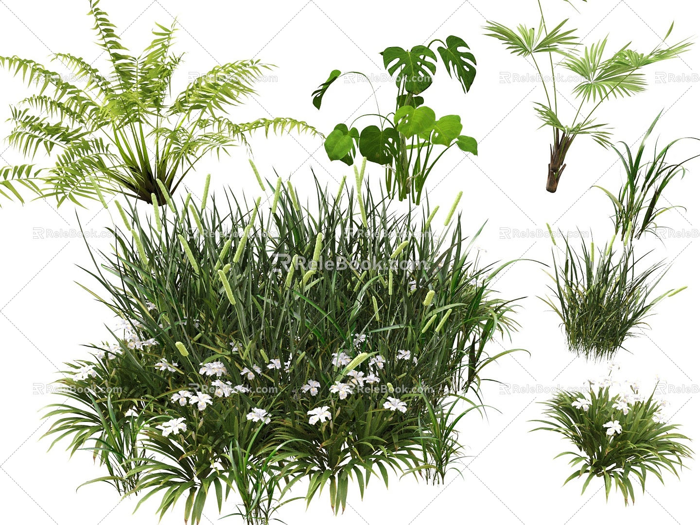 Grass Weeds Weeds Landscape Plants Palm Green Plants Flowers 3d model