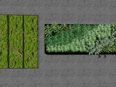 Green Plant Wall Design With Lush Foliage And Various Indoor Outdoor Plants 3d model