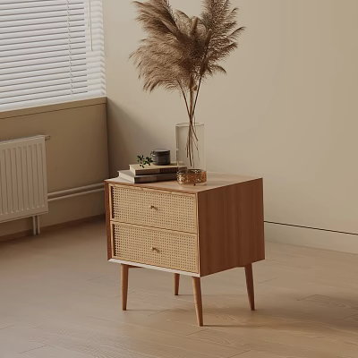 Wooden Side Table With Two Rattan Drawers And Books Plant Vase With Dried Pampas Grass 3d model