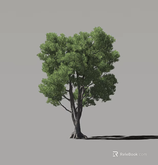 Lush Green Arbor With Thick Trunk And Full Foliage Canopy 3d model 