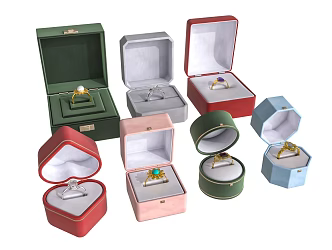 Ring Show 3d model