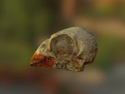 Ancient Fossil Specimen With Textured Surface And Orange Red Accent 3d model