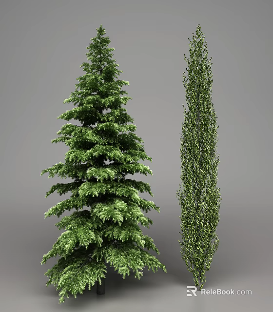 Two Arbor Trees With Lush Green Foliage And Slender Growth Shape 3d model 