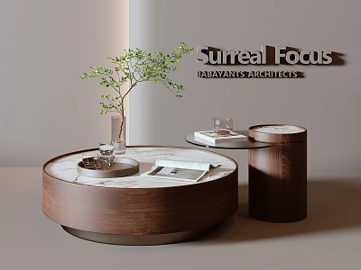 Elegant Round Wooden Coffee Table With Marble Top Potted Plant Books And Wooden Side Table 3d model