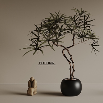 Modern Potted Plant Green Plant Bonsai 3d model