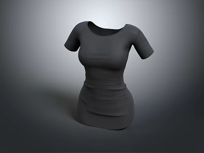 Gray Short Sleeve T-Shirt Modern Fashion Design With Comfortable Casual Style 3d model