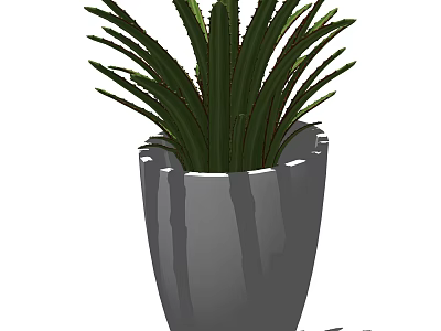 Bonsai Plant with Lush Green Leaves in Gray Ceramic Pot for Home Decor 3d model