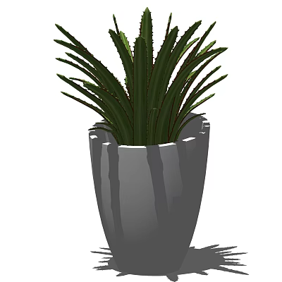 Bonsai Plant with Lush Green Leaves in Gray Ceramic Pot for Home Decor 3d model
