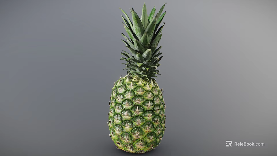 Fresh Green Whole Pineapple With Leafy Top And Vibrant Healthy Exterior 3d model 
