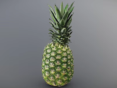 Fresh Green Whole Pineapple With Leafy Top And Vibrant Healthy Exterior 3d model