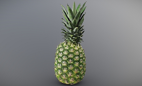 pineapple realistic pineapple scanning pineapple fruit tropical fruit 3d model