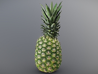 pineapple realistic pineapple scanning pineapple fruit tropical fruit 3d model