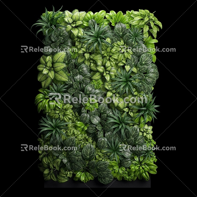 Plants 3d model