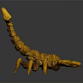 Orange Scorpion Reptile 3D Model With Detailed Textured Exoskeleton On Gray Background