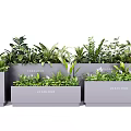 Gray Rectangular Flower Planters With Various Green Plants And Logo Design 3d model