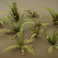 3D Rendered Green Fern Plants With Lush Fronds And Natural Leaf Details