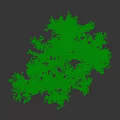 Tall Green Leafy Arbor With Lush Foliage And Strong Trunk In Natural Growth
