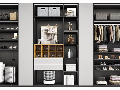 Modern Wardrobe Interior Design With Multiple Compartments Shoe Storage And Hanging Clothes 3d model