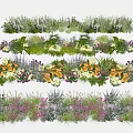 Diverse Garden Shrub Varieties with Colorful Flowers and Green Foliage