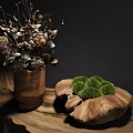 Green Moss Clusters On Wooden Slab With Dried Plants In Wooden Vase